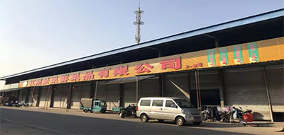 未标题-1-恢复的-恢复的-恢复的.jpg