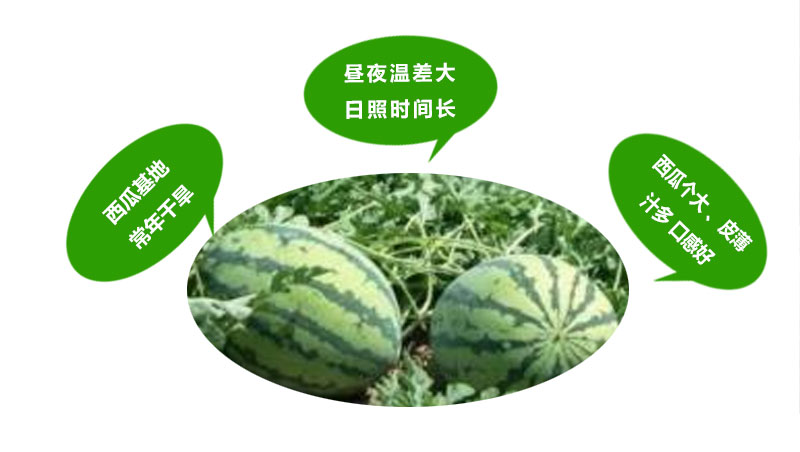 1_02.jpg